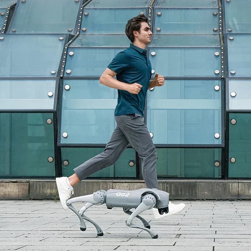 Robotic dog Go2 Pro