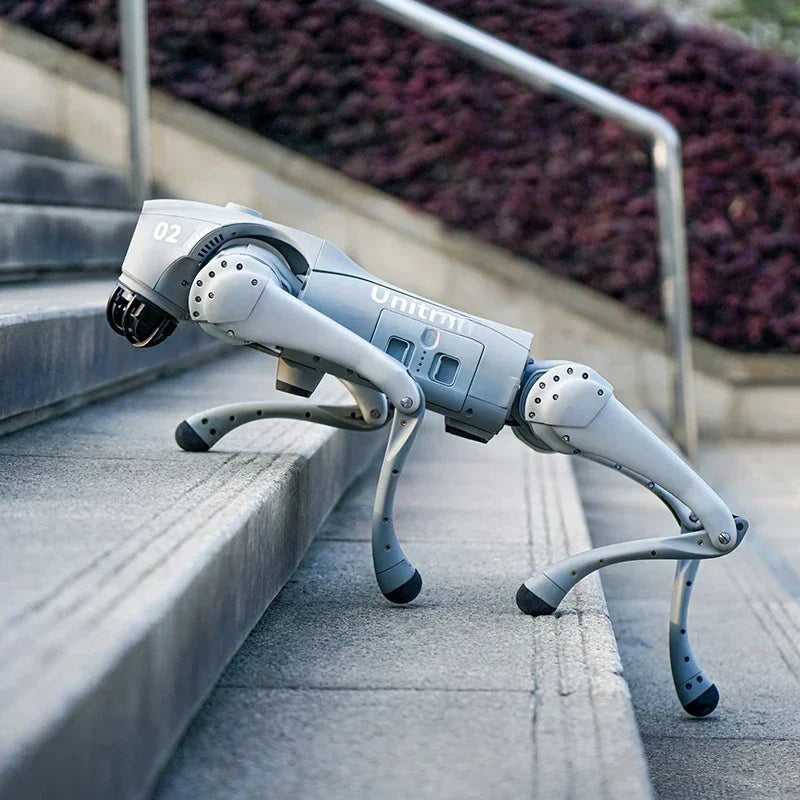 Robotic dog Go2 Pro