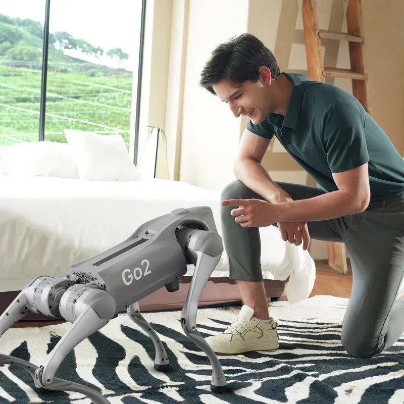 Robotic dog Go2 Pro