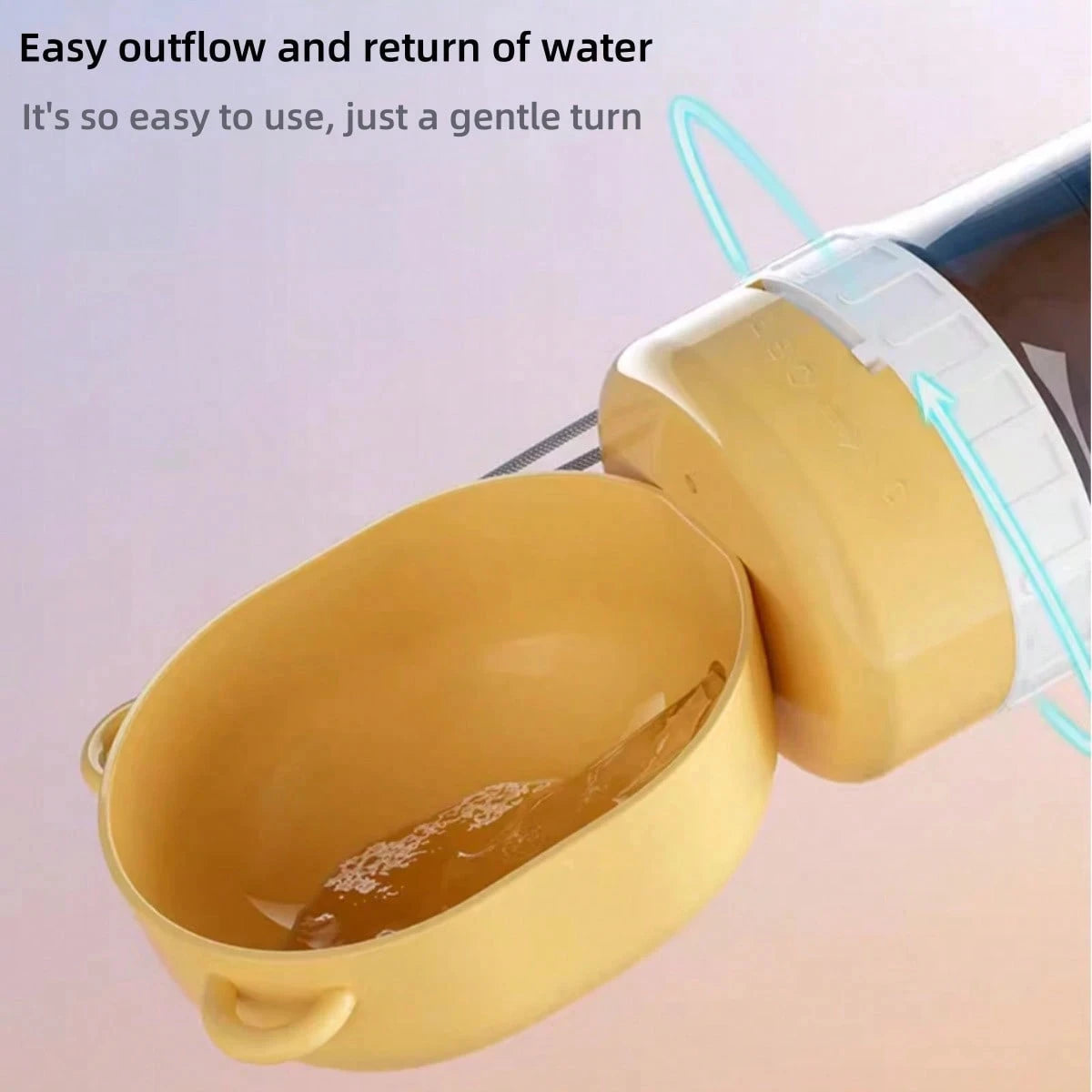 Bottle/Feeder