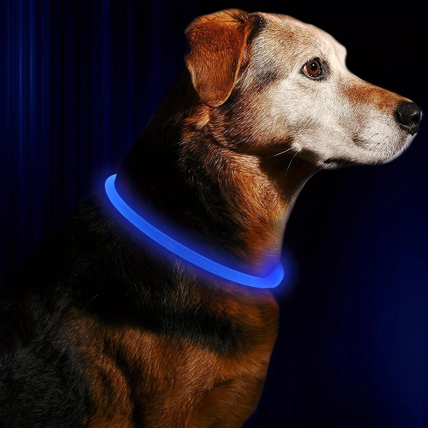 Snuffele Snouts LED Light Blue / M LED Light