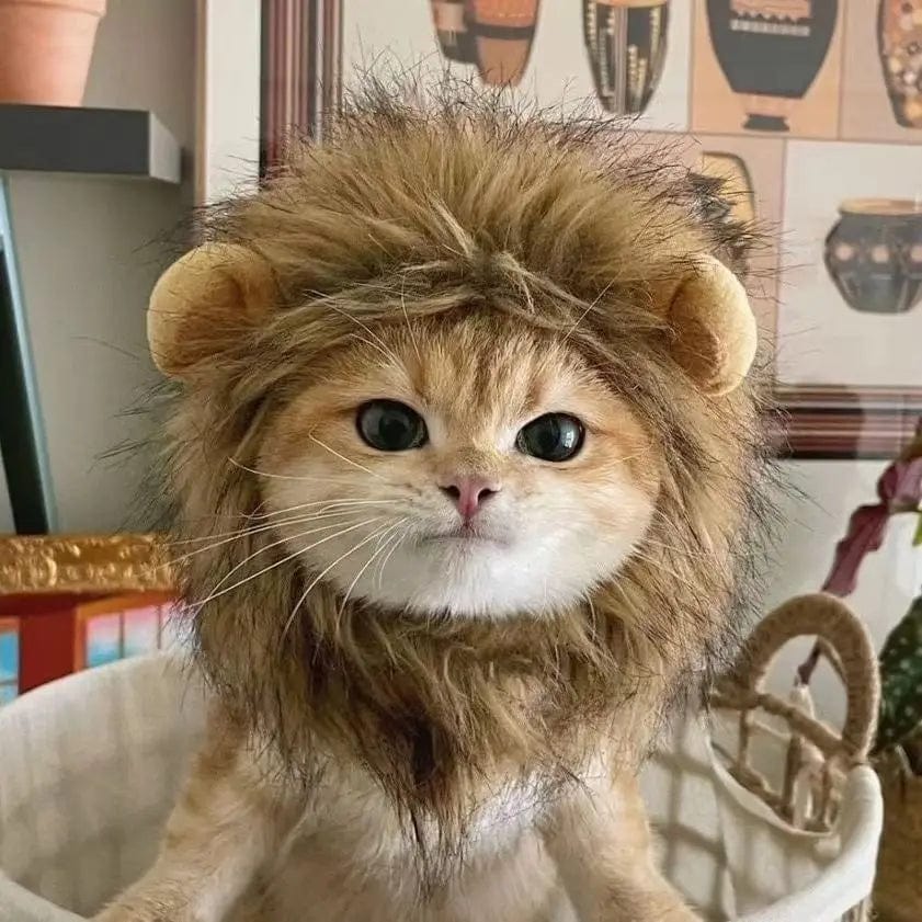Snuffele Snouts Leuk Leeuwen Kostuum Cute Lion Costume