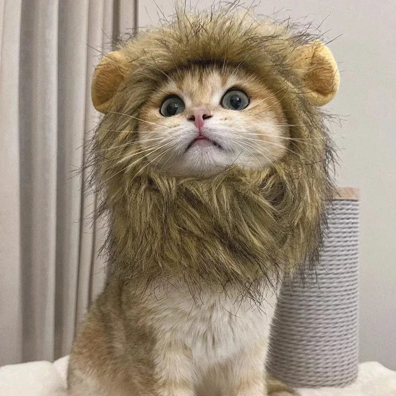 Snuffele Snouts Leuk Leeuwen Kostuum Cute Lion Costume