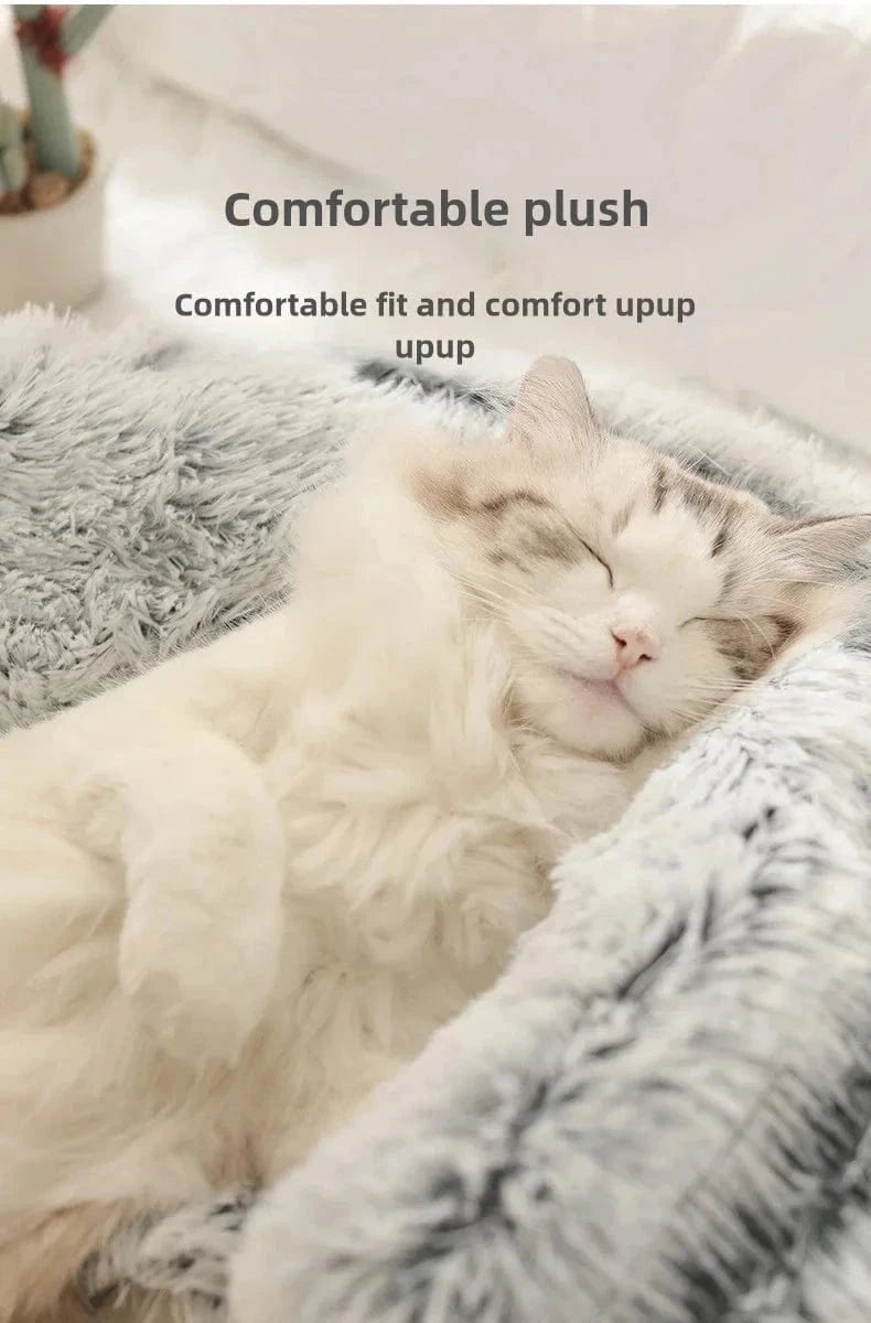 Snuffle Snouts Beds Beds