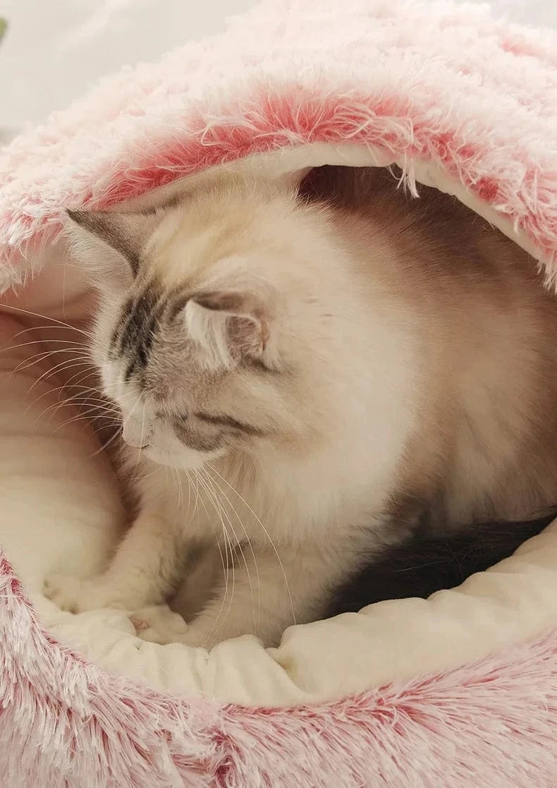 Snuffle Snouts Beds Beds