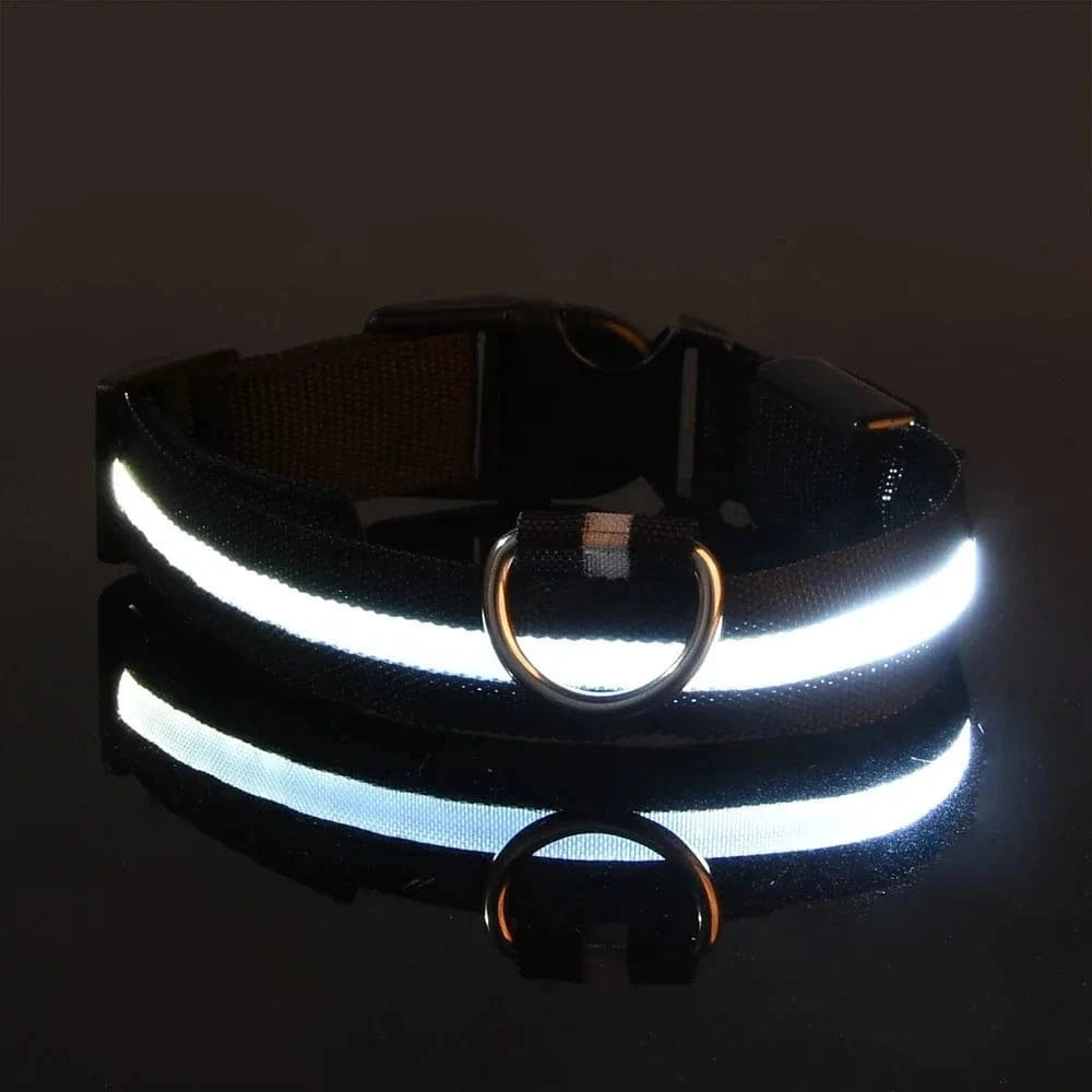 Snuffle Snouts BLACK / S neck 34-41cm Dog Collar Nylon LED Night Safety Flashing Glow In The Dark Pet Dog Leash pet Dogs Luminous Fluorescent dog accessories collar