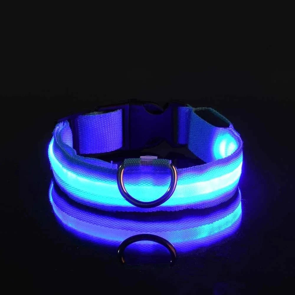 Snuffle Snouts BLUE / M neck 37-46cm Dog Collar Nylon LED Night Safety Flashing Glow In The Dark Pet Dog Leash pet Dogs Luminous Fluorescent dog accessories collar