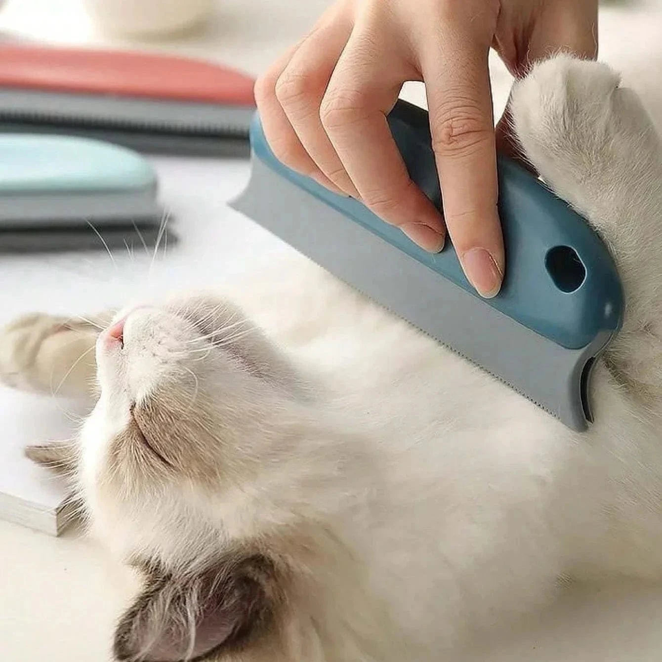 Snuffle Snouts Brush Brush