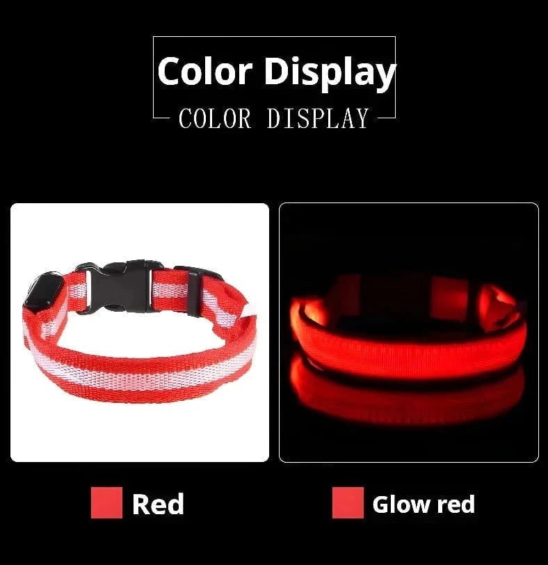 Snuffle Snouts Dog Collar Nylon LED Night Safety Flashing Glow In The Dark Pet Dog Leash pet Dogs Luminous Fluorescent dog accessories collar