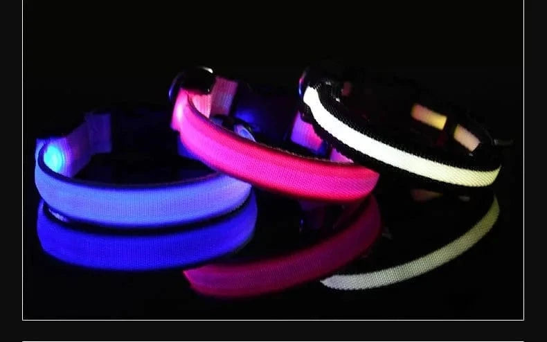 Snuffle Snouts Dog Collar Nylon LED Night Safety Flashing Glow In The Dark Pet Dog Leash pet Dogs Luminous Fluorescent dog accessories collar