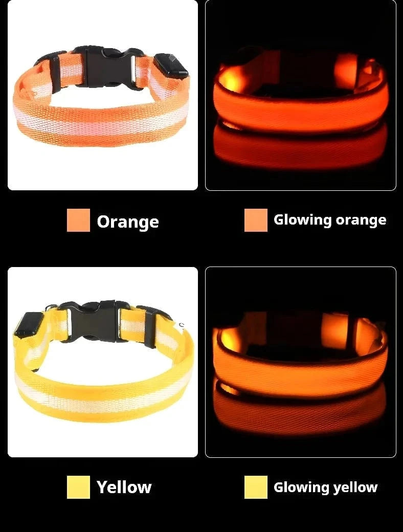 Snuffle Snouts Dog Collar Nylon LED Night Safety Flashing Glow In The Dark Pet Dog Leash pet Dogs Luminous Fluorescent dog accessories collar