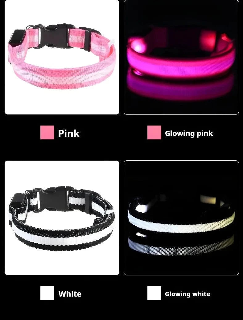 Snuffle Snouts Dog Collar Nylon LED Night Safety Flashing Glow In The Dark Pet Dog Leash pet Dogs Luminous Fluorescent dog accessories collar