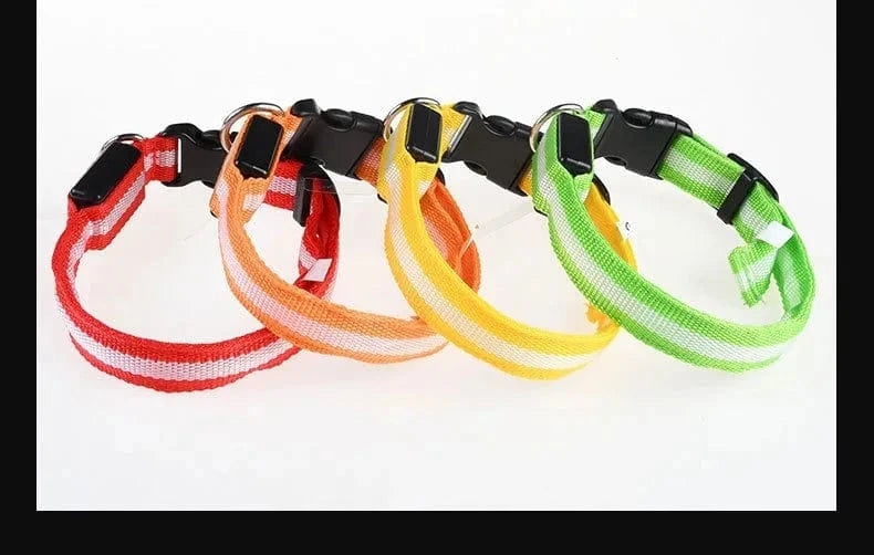 Snuffle Snouts Dog Collar Nylon LED Night Safety Flashing Glow In The Dark Pet Dog Leash pet Dogs Luminous Fluorescent dog accessories collar