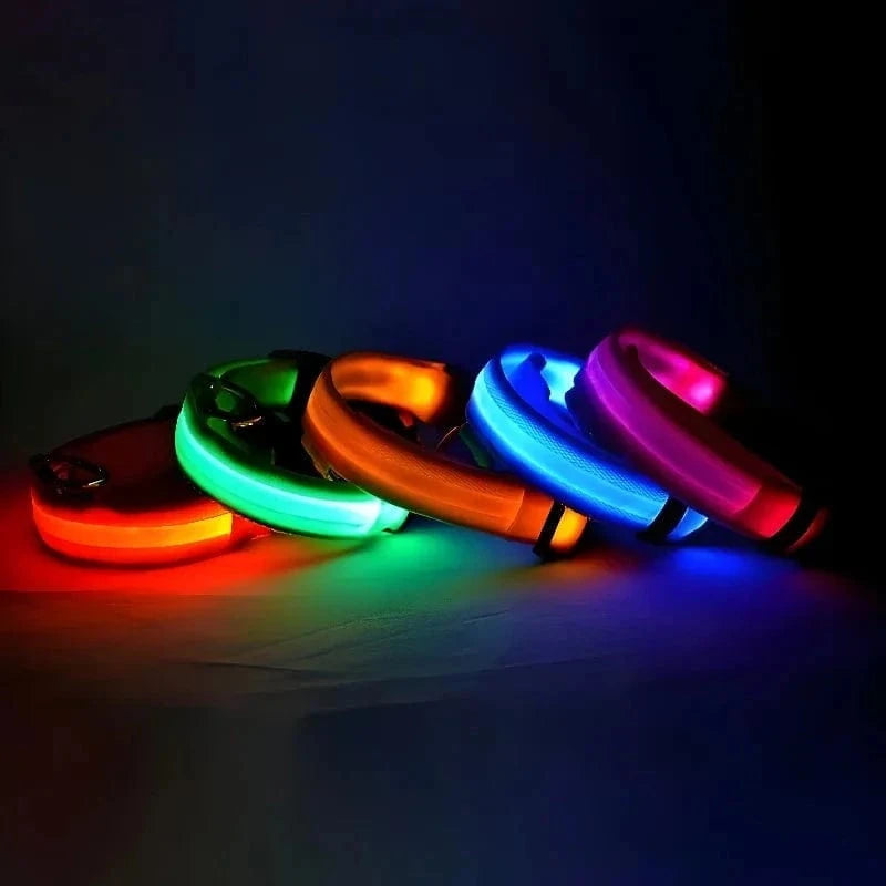 Snuffle Snouts Dog Collar Nylon LED Night Safety Flashing Glow In The Dark Pet Dog Leash pet Dogs Luminous Fluorescent dog accessories collar