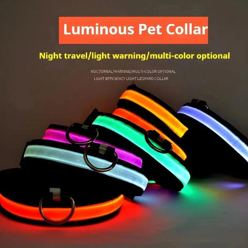 Snuffle Snouts Dog Collar Nylon LED Night Safety Flashing Glow In The Dark Pet Dog Leash pet Dogs Luminous Fluorescent dog accessories collar