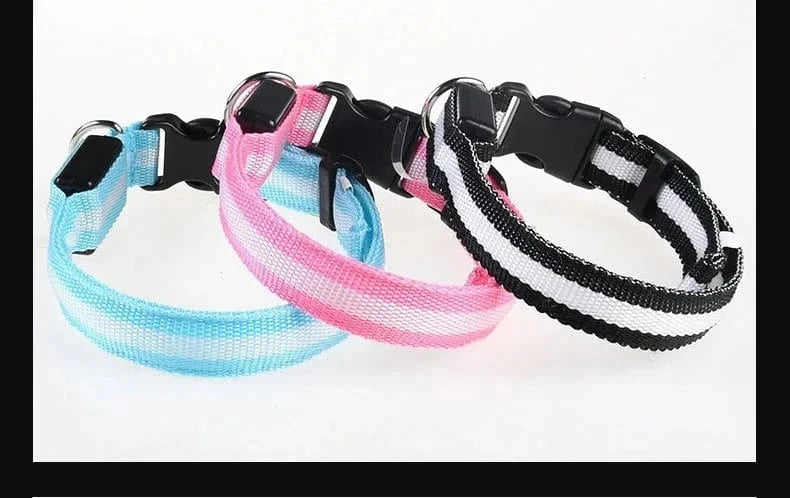 Snuffle Snouts Dog Collar Nylon LED Night Safety Flashing Glow In The Dark Pet Dog Leash pet Dogs Luminous Fluorescent dog accessories collar