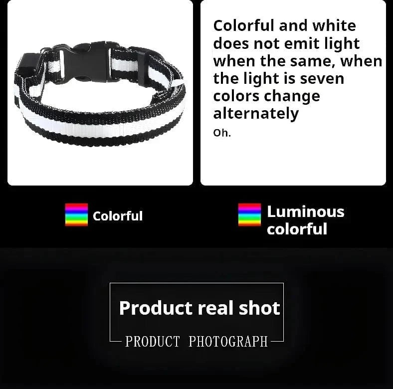 Snuffle Snouts Dog Collar Nylon LED Night Safety Flashing Glow In The Dark Pet Dog Leash pet Dogs Luminous Fluorescent dog accessories collar