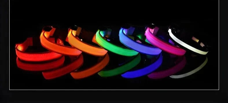 Snuffle Snouts Dog Collar Nylon LED Night Safety Flashing Glow In The Dark Pet Dog Leash pet Dogs Luminous Fluorescent dog accessories collar