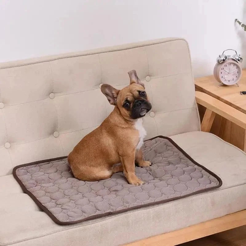 Snuffle Snouts Dog Mat Cooling Summer Pad Mat For Dogs Cat Blanket Sofa Breathable Pet Dog Bed Summer Washable For Small Medium Large Dogs Car