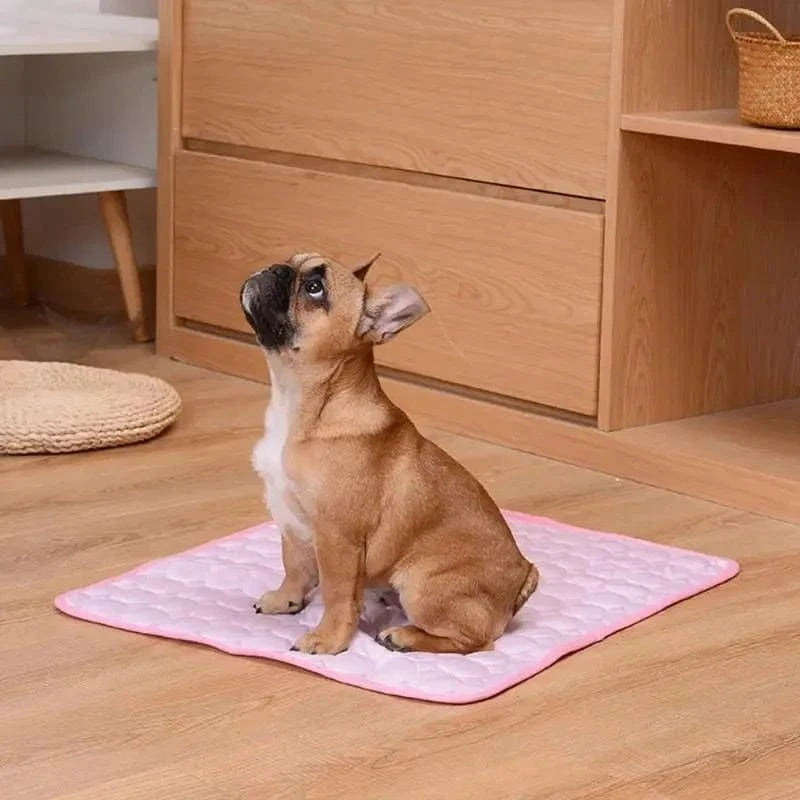 Snuffle Snouts Dog Mat Cooling Summer Pad Mat For Dogs Cat Blanket Sofa Breathable Pet Dog Bed Summer Washable For Small Medium Large Dogs Car