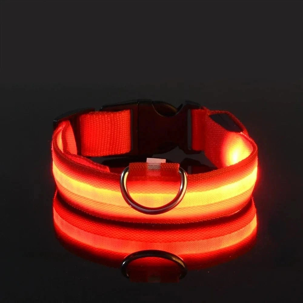Snuffle Snouts RED / XL neck 42-56cm Dog Collar Nylon LED Night Safety Flashing Glow In The Dark Pet Dog Leash pet Dogs Luminous Fluorescent dog accessories collar