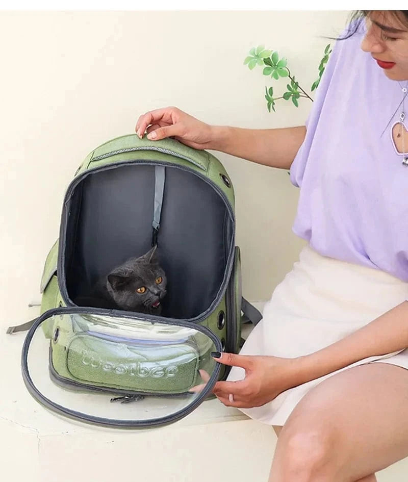 Snuffle Snouts Transparent Pet Cat Carrier Bag Outdoor Travel Backpack for Cats Small Dogs Breathable Cat Carrying Bag Pet Supplies