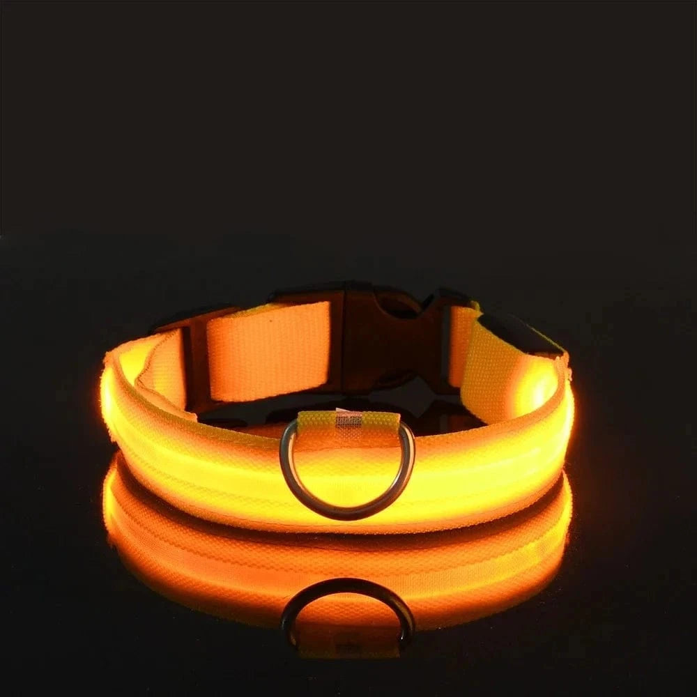 Snuffle Snouts Yellow / XL neck 42-56cm Dog Collar Nylon LED Night Safety Flashing Glow In The Dark Pet Dog Leash pet Dogs Luminous Fluorescent dog accessories collar