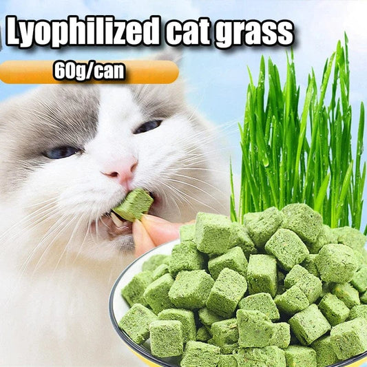Snuffele Snouts Gras Droog Gevries 60g Grass Dry Freeze