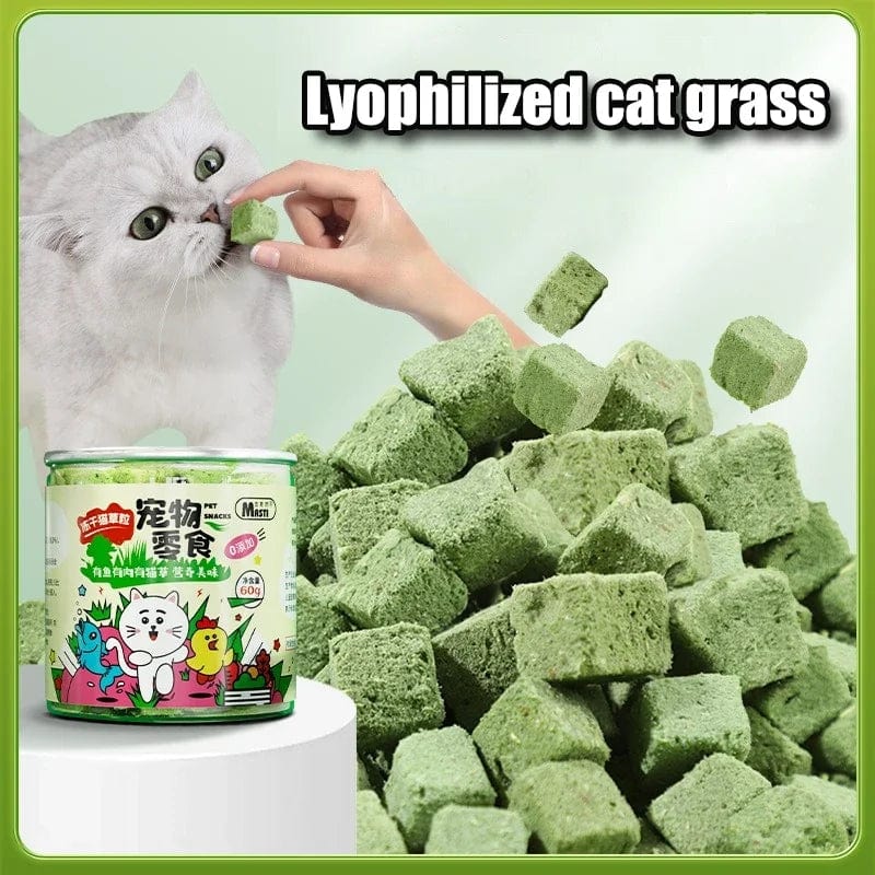Snuffele Snouts Gras Droog Gevries Grass Dry Freeze