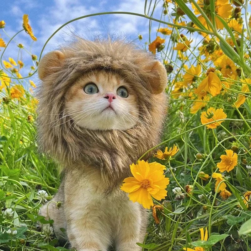 Snuffele Snouts Leuk Leeuwen Kostuum Cute Lion Costume