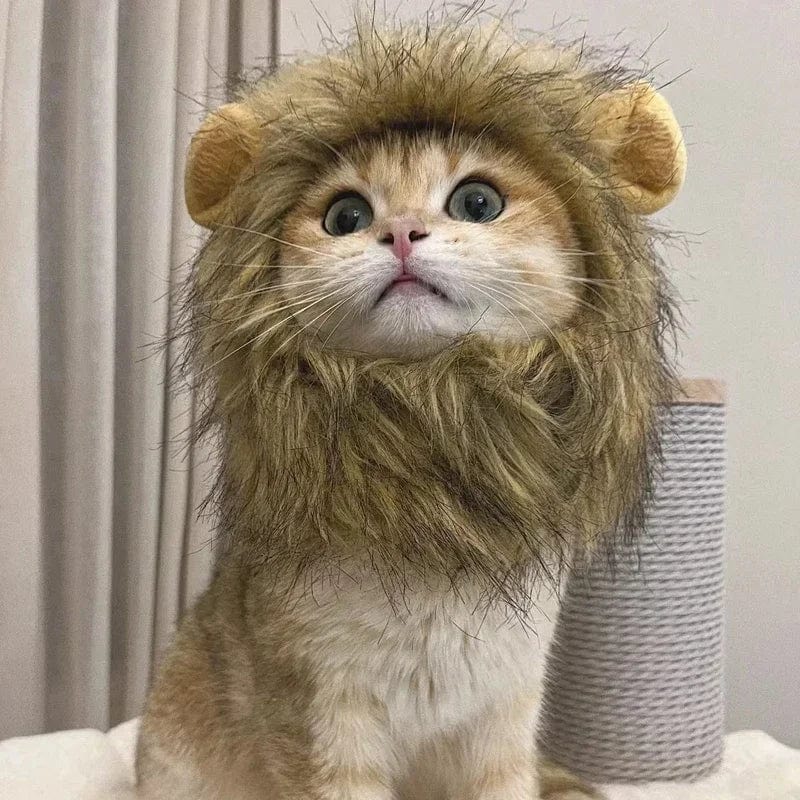 Snuffele Snouts Leuk Leeuwen Kostuum Cute Lion Costume