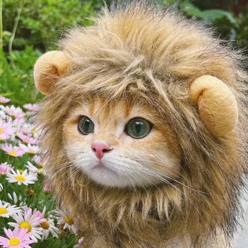 Snuffele Snouts Leuk Leeuwen Kostuum Cute Lion Costume
