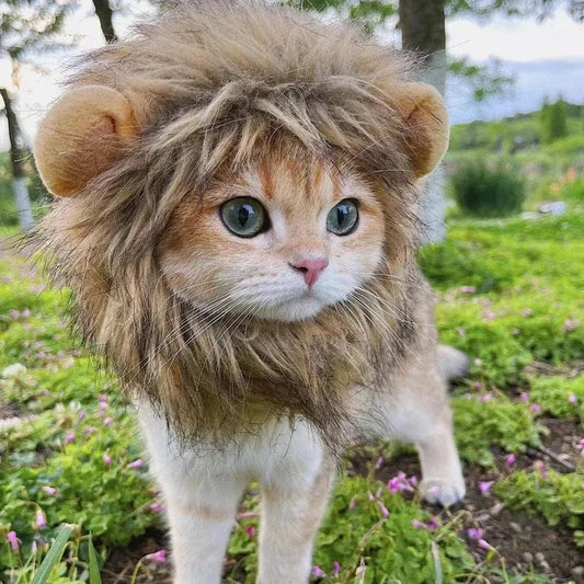 Snuffele Snouts Leuk Leeuwen Kostuum Cute Lion Costume