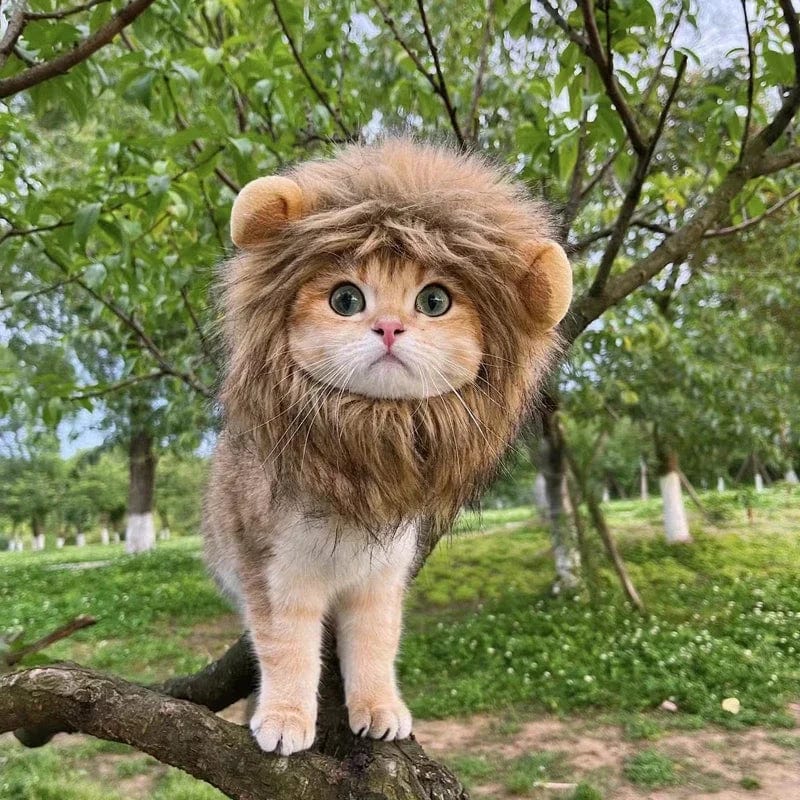 Snuffele Snouts Leuk Leeuwen Kostuum Cute Lion Costume