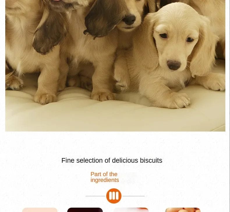 Snuffele Snouts Mini Koekjes Botvormig Mini Cookies Bone Shaped