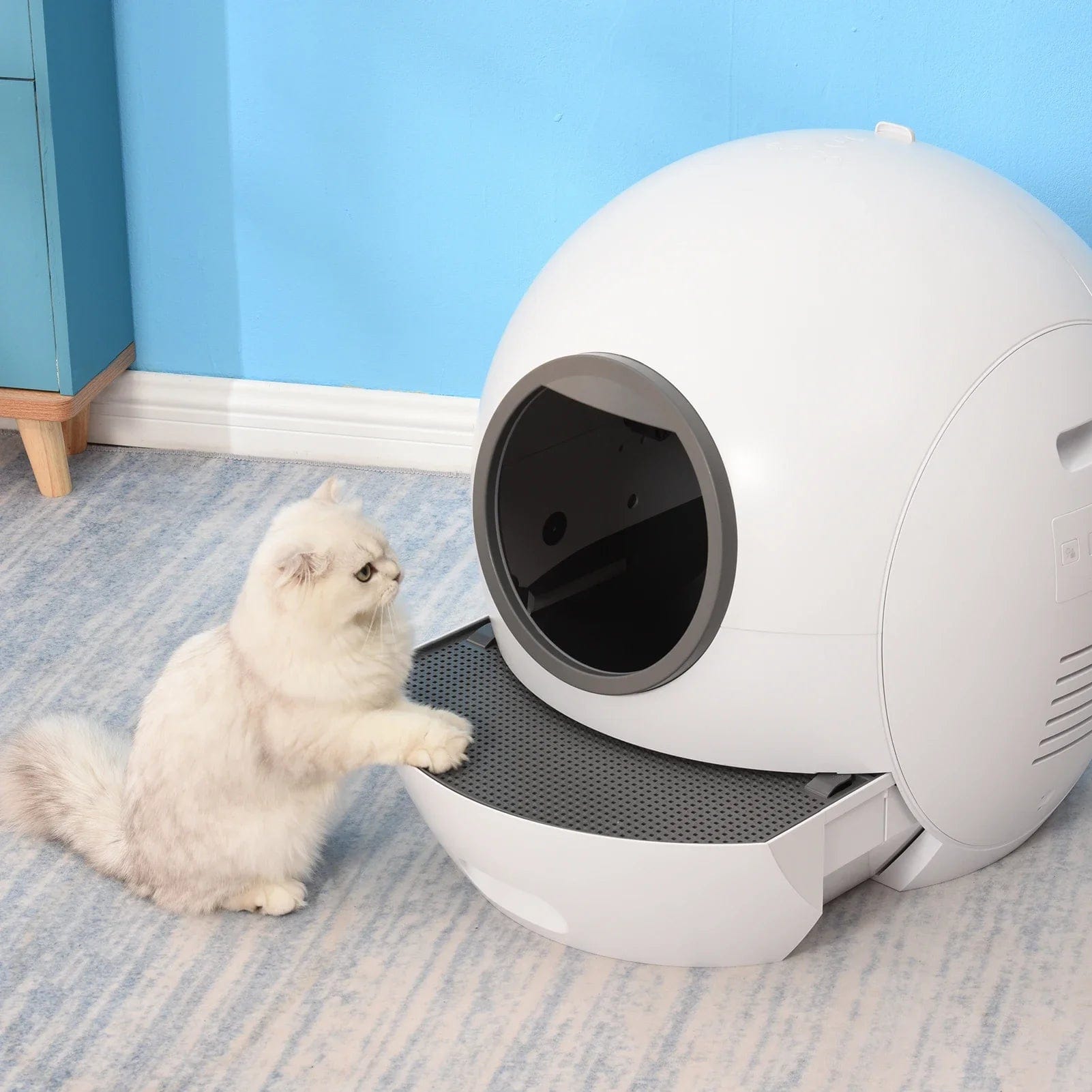 Snuffele Snouts Zelfreinigende KattenBak Litter Box