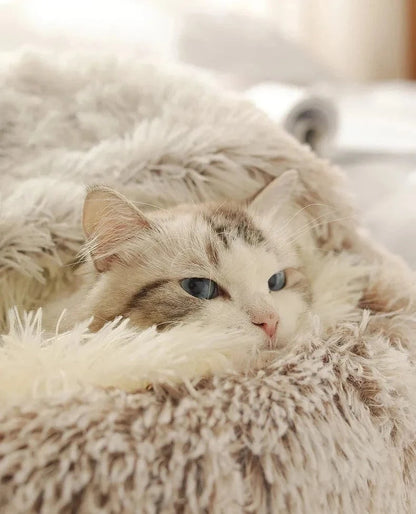 Snuffle Snouts Beds Beds