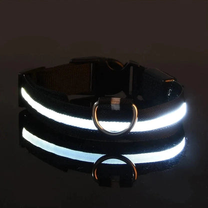 Snuffle Snouts BLACK / S neck 34-41cm Dog Collar Nylon LED Night Safety Flashing Glow In The Dark Pet Dog Leash pet Dogs Luminous Fluorescent  dog accessories collar