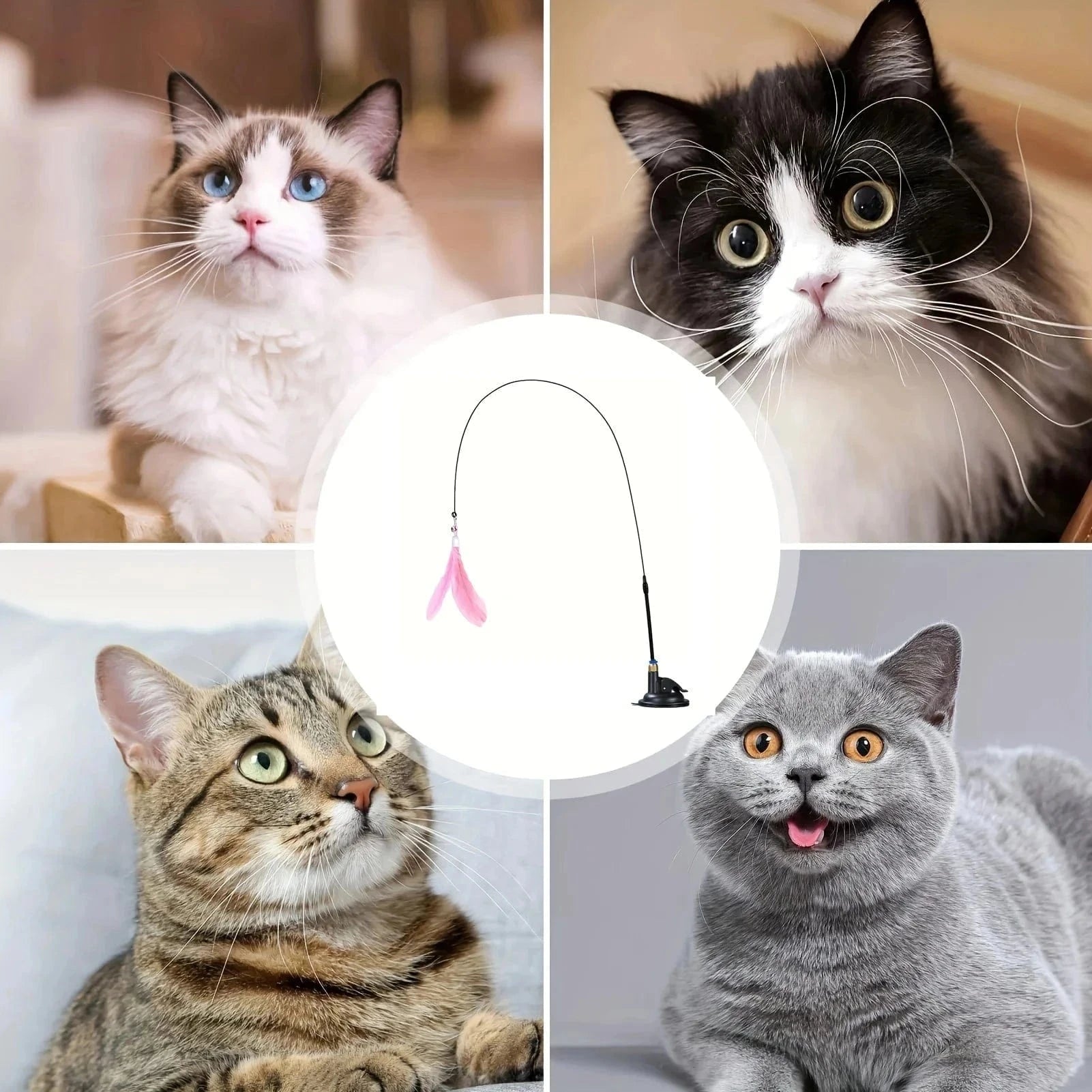 Snuffle Snouts Cat Teaser Toy - Interactive Bell & Feather Wand - Long Suction Cup Pole for Exciting Playtime Adventures - Ultimate Cat Toy