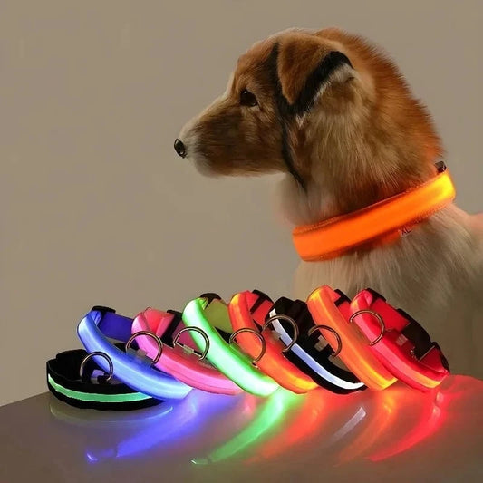 Snuffle Snouts Dog Collar Nylon LED Night Safety Flashing Glow In The Dark Pet Dog Leash pet Dogs Luminous Fluorescent  dog accessories collar
