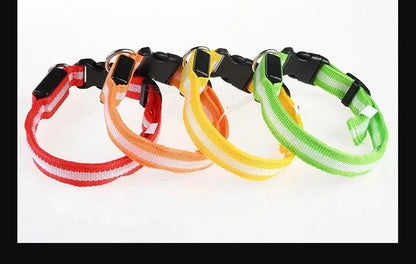 Snuffle Snouts Dog Collar Nylon LED Night Safety Flashing Glow In The Dark Pet Dog Leash pet Dogs Luminous Fluorescent  dog accessories collar
