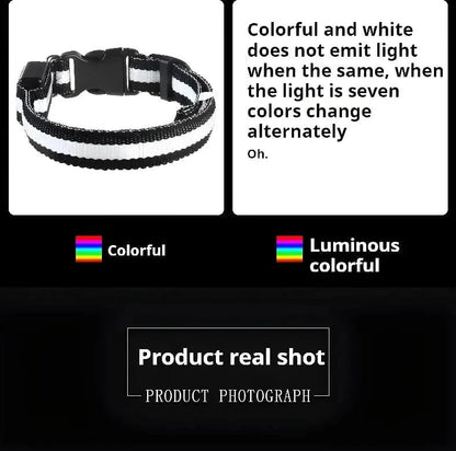 Snuffle Snouts Dog Collar Nylon LED Night Safety Flashing Glow In The Dark Pet Dog Leash pet Dogs Luminous Fluorescent  dog accessories collar