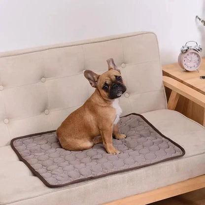 Snuffle Snouts Dog Mat Cooling Summer Pad Mat For Dogs Cat Blanket Sofa Breathable Pet Dog Bed Summer Washable For Small Medium Large Dogs Car
